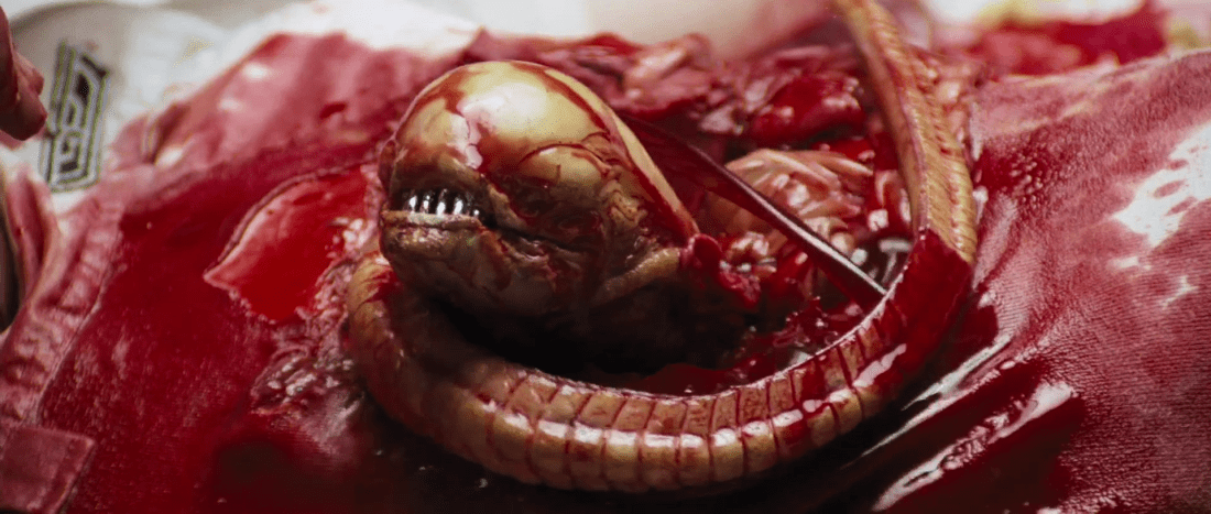 ChestbursterA11080